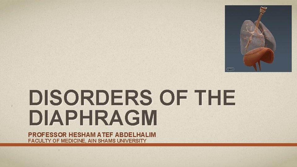 DISORDERS OF THE DIAPHRAGM PROFESSOR HESHAM ATEF ABDELHALIM FACULTY OF MEDICINE, AIN SHAMS UNIVERSITY