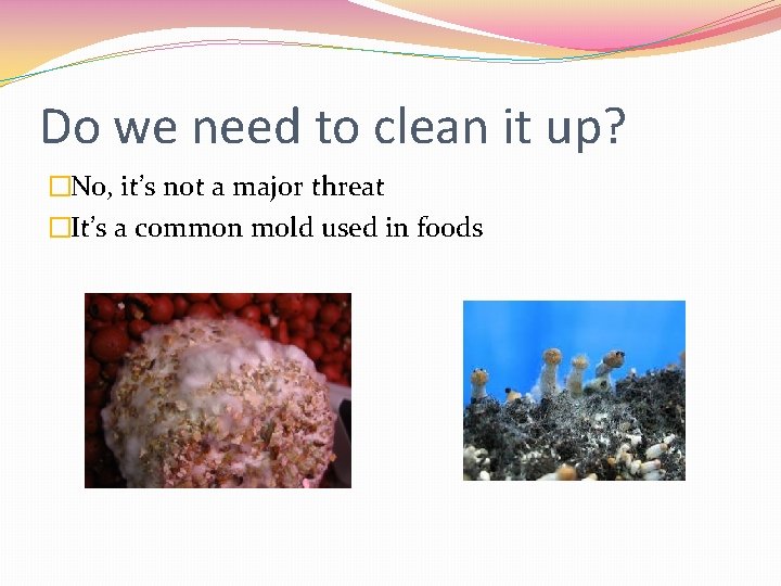 Do we need to clean it up? �No, it’s not a major threat �It’s