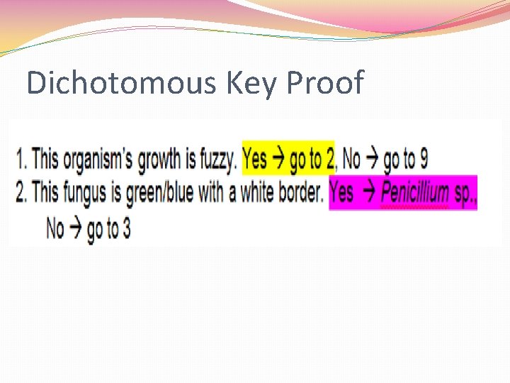 Dichotomous Key Proof 