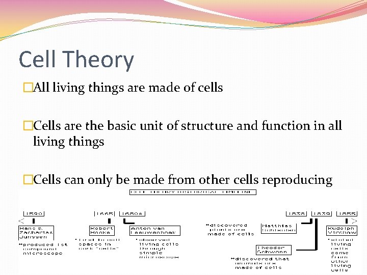 Cell Theory �All living things are made of cells �Cells are the basic unit