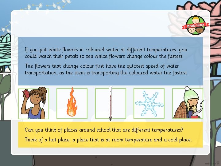 If you put white flowers in coloured water at different temperatures, you could watch