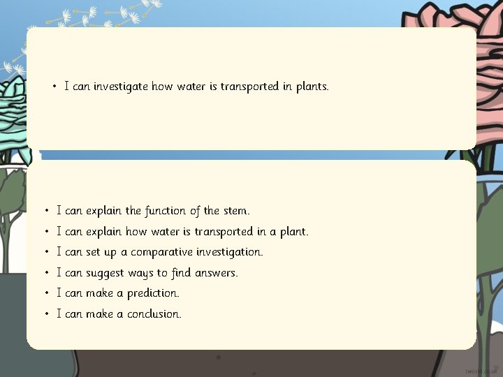  • I can investigate how water is transported in plants. • I can