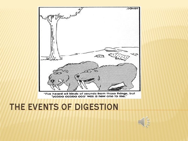 THE EVENTS OF DIGESTION 