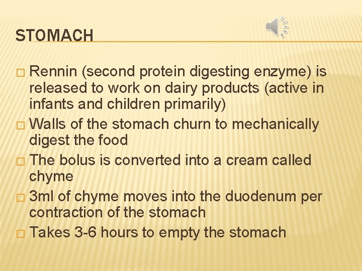 STOMACH � Rennin (second protein digesting enzyme) is released to work on dairy products