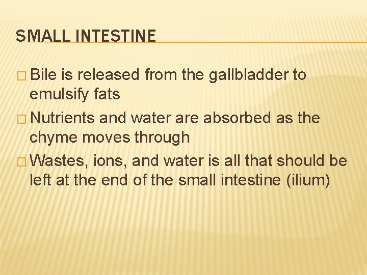SMALL INTESTINE � Bile is released from the gallbladder to emulsify fats � Nutrients
