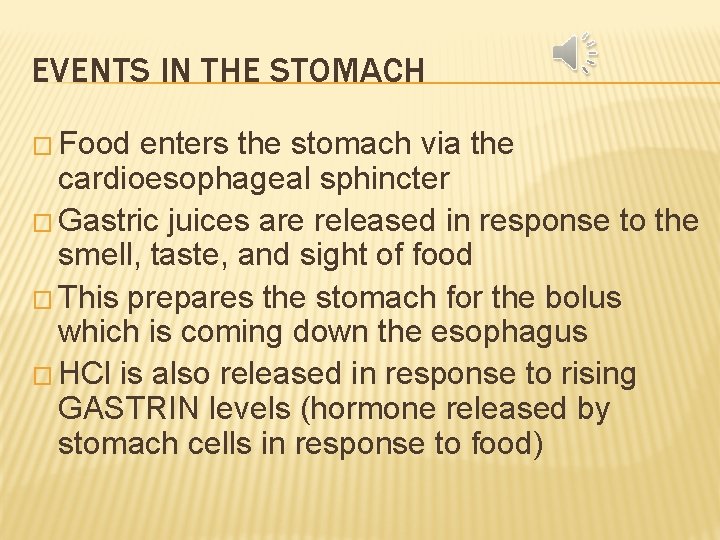 EVENTS IN THE STOMACH � Food enters the stomach via the cardioesophageal sphincter �