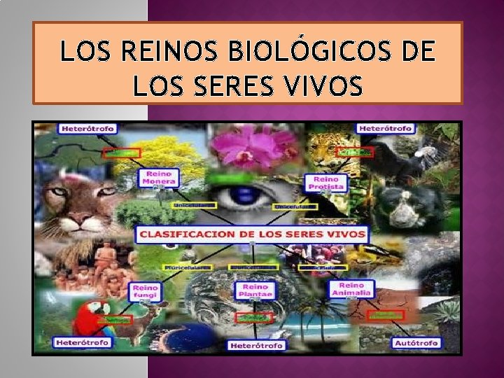 LOS REINOS BIOLÓGICOS DE LOS SERES VIVOS 