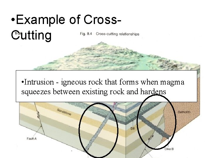  • Example of Cross. Cutting • Intrusion- igneousrockthatformswhenmagma squeezesbetweenexistingrockand andhardens 