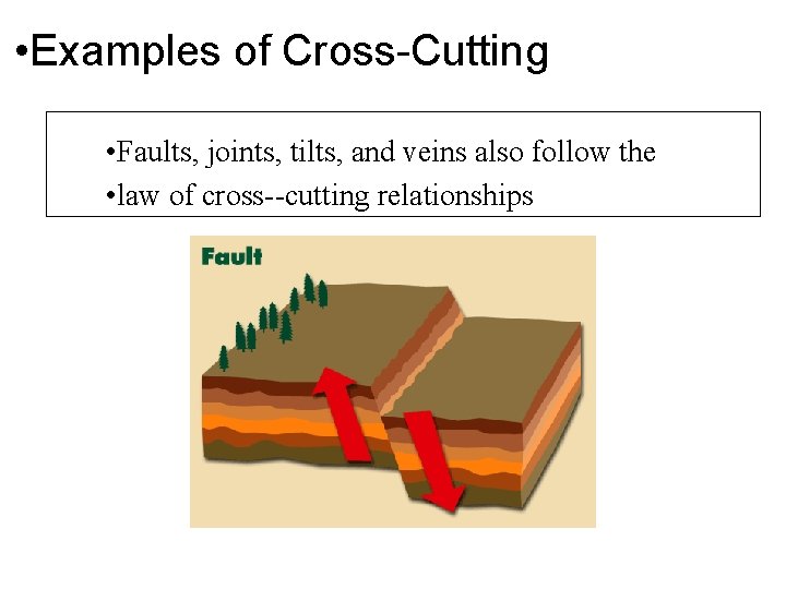  • Examples of Cross-Cutting • Faults, joints, tilts, and veins also follow the