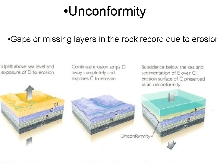  • Unconformity • Gaps or missing layers in the rock record due to