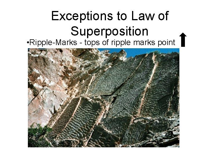Exceptions to Law of Superposition • Ripple-Marks - tops of ripple marks point 