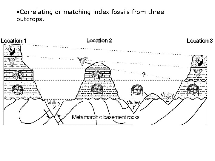  • Correlating or matching index fossils from three outcrops. 