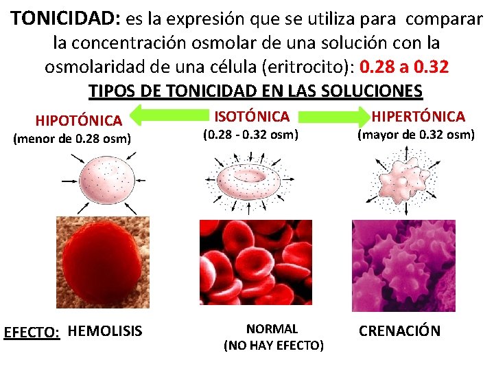 TONICIDAD: es la expresión que se utiliza para comparar la concentración osmolar de una
