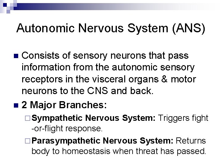 Autonomic Nervous System (ANS) Consists of sensory neurons that pass information from the autonomic