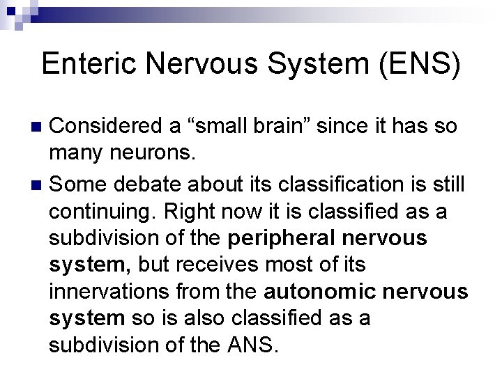 Enteric Nervous System (ENS) Considered a “small brain” since it has so many neurons.