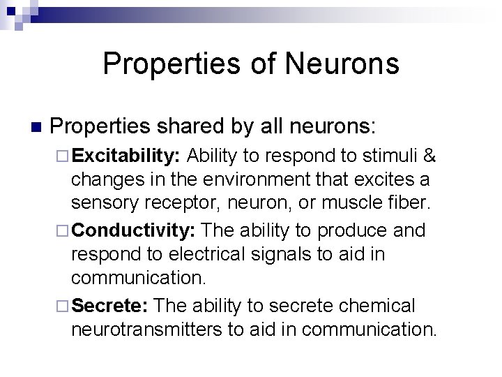 Properties of Neurons n Properties shared by all neurons: ¨ Excitability: Ability to respond