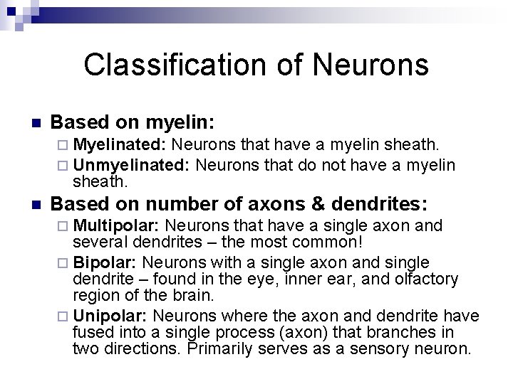 Classification of Neurons n Based on myelin: ¨ Myelinated: Neurons that have a myelin
