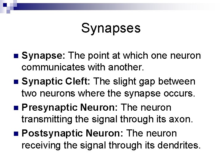 Synapses Synapse: The point at which one neuron communicates with another. n Synaptic Cleft: