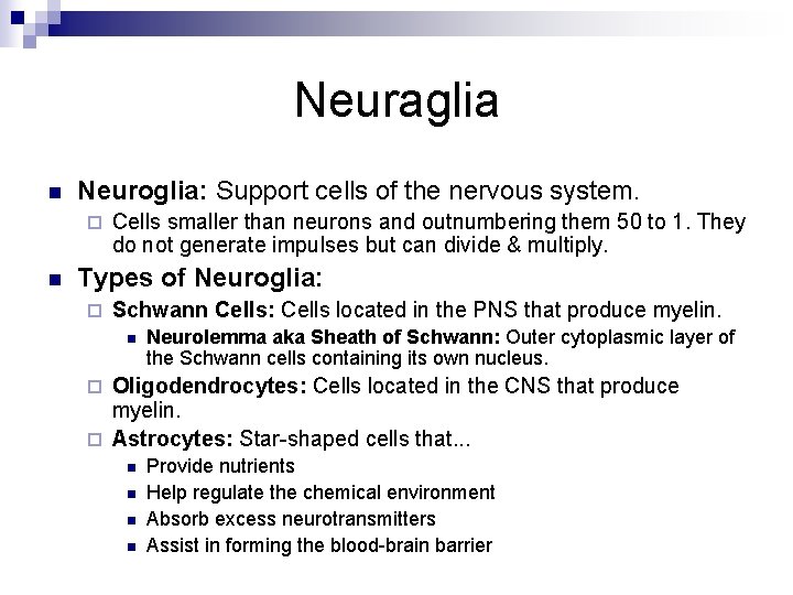 Neuraglia n Neuroglia: Support cells of the nervous system. ¨ n Cells smaller than