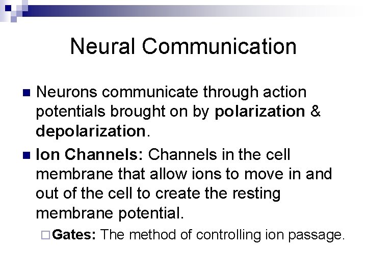 Neural Communication Neurons communicate through action potentials brought on by polarization & depolarization. n