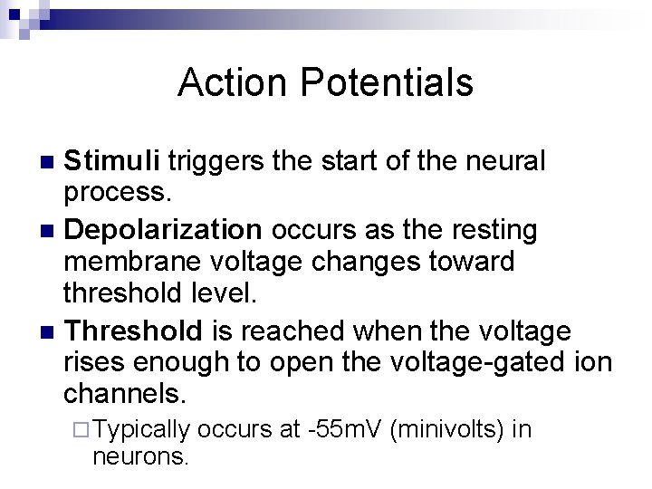 Action Potentials Stimuli triggers the start of the neural process. n Depolarization occurs as