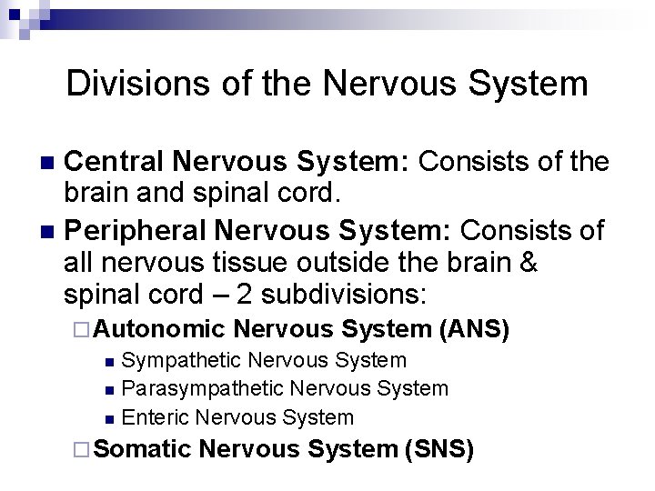 Divisions of the Nervous System Central Nervous System: Consists of the brain and spinal