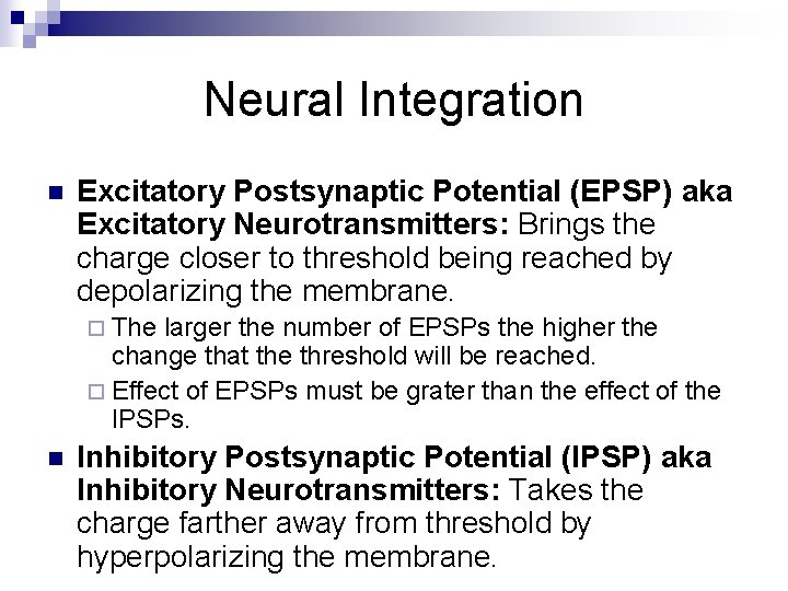 Neural Integration n Excitatory Postsynaptic Potential (EPSP) aka Excitatory Neurotransmitters: Brings the charge closer