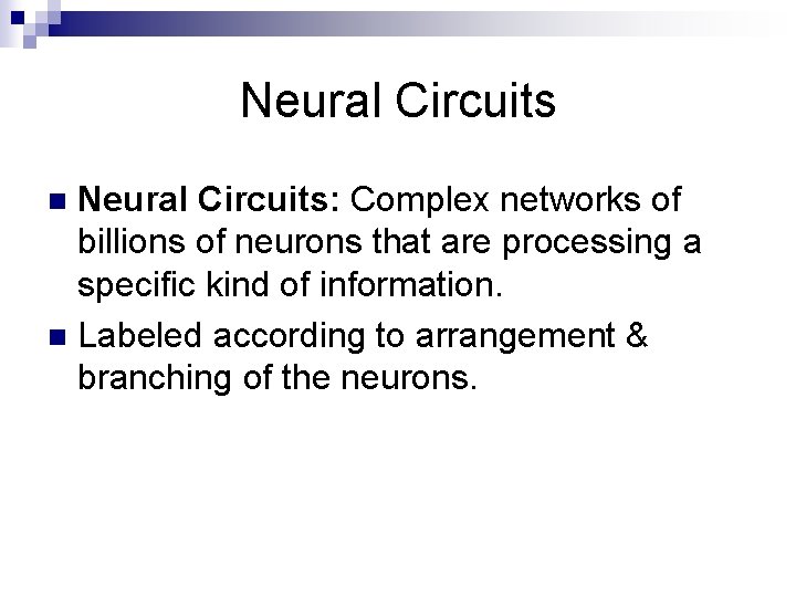 Neural Circuits: Complex networks of billions of neurons that are processing a specific kind