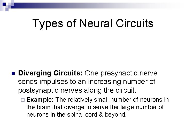 Types of Neural Circuits n Diverging Circuits: One presynaptic nerve sends impulses to an