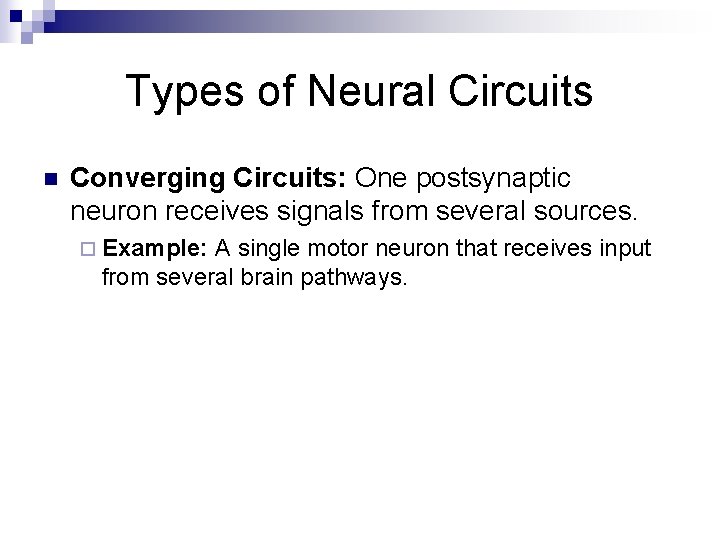 Types of Neural Circuits n Converging Circuits: One postsynaptic neuron receives signals from several