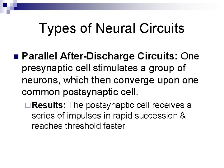 Types of Neural Circuits n Parallel After-Discharge Circuits: One presynaptic cell stimulates a group