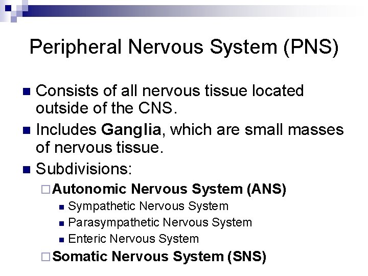 Peripheral Nervous System (PNS) Consists of all nervous tissue located outside of the CNS.