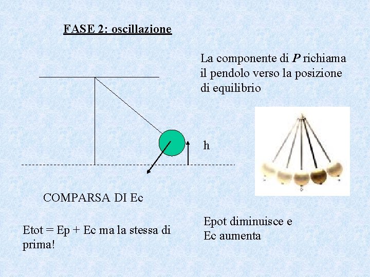 FASE 2: oscillazione La componente di P richiama il pendolo verso la posizione di