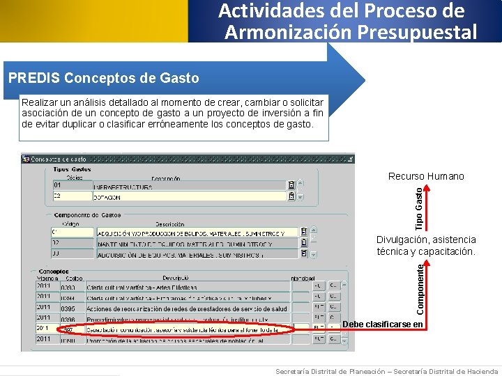 Actividades del Proceso de Armonización Presupuestal PREDIS Conceptos de Gasto Realizar un análisis detallado