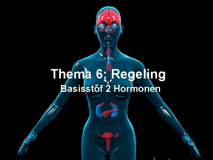 Thema 6: Regeling Basisstof 2 Hormonen 