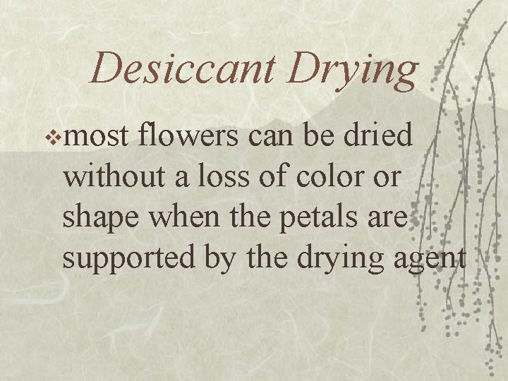 Desiccant Drying vmost flowers can be dried without a loss of color or shape