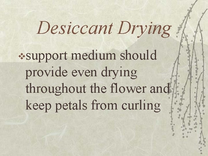 Desiccant Drying vsupport medium should provide even drying throughout the flower and keep petals