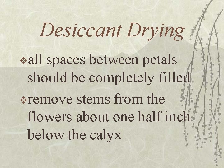 Desiccant Drying vall spaces between petals should be completely filled vremove stems from the