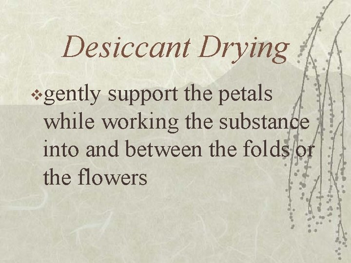 Desiccant Drying vgently support the petals while working the substance into and between the
