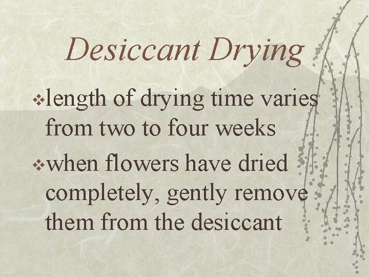 Desiccant Drying vlength of drying time varies from two to four weeks vwhen flowers