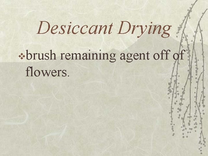 Desiccant Drying vbrush remaining agent off of flowers. 