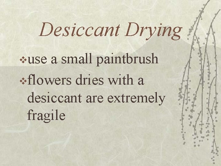 Desiccant Drying vuse a small paintbrush vflowers dries with a desiccant are extremely fragile