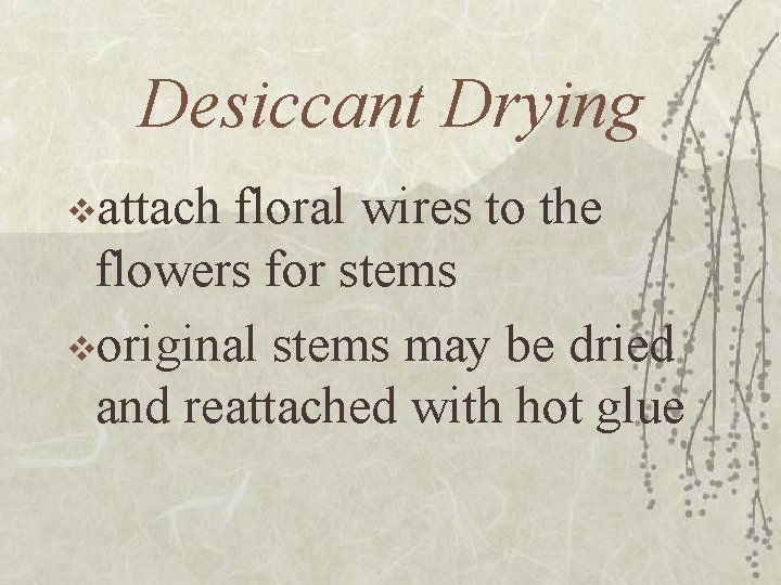 Desiccant Drying vattach floral wires to the flowers for stems voriginal stems may be