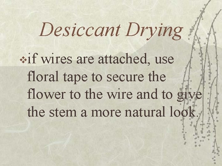 Desiccant Drying vif wires are attached, use floral tape to secure the flower to
