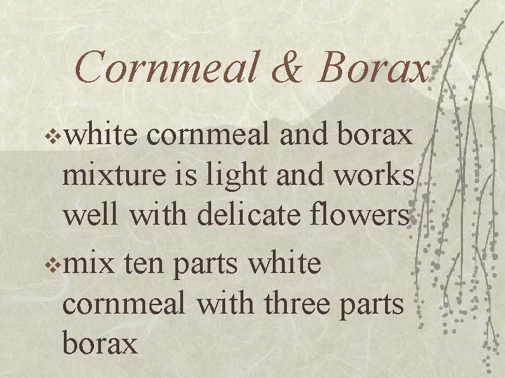 Cornmeal & Borax vwhite cornmeal and borax mixture is light and works well with