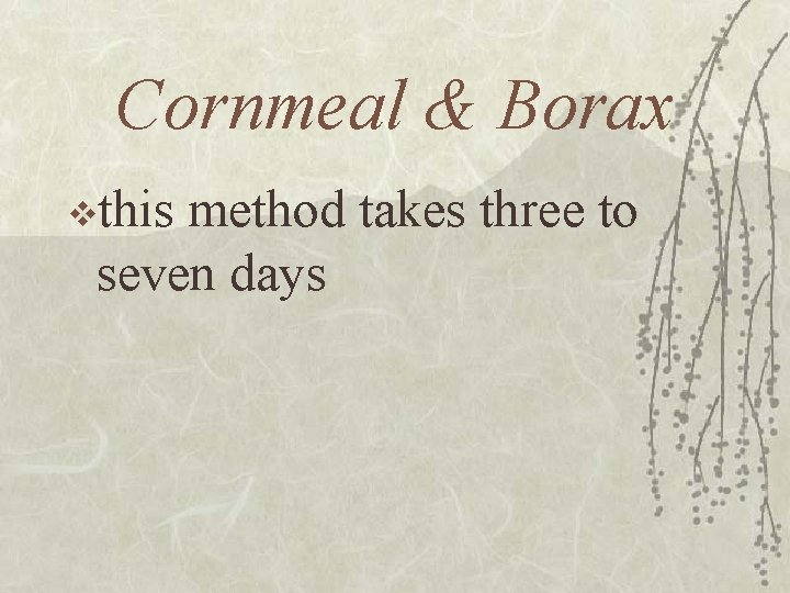 Cornmeal & Borax vthis method takes three to seven days 