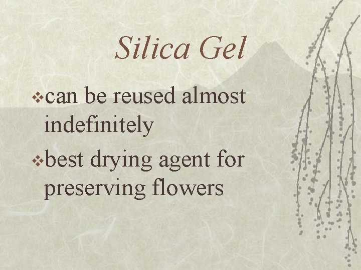 Silica Gel vcan be reused almost indefinitely vbest drying agent for preserving flowers 