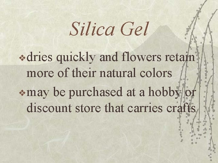 Silica Gel v dries quickly and flowers retain more of their natural colors v