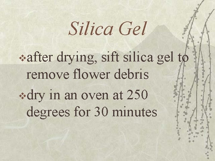 Silica Gel vafter drying, sift silica gel to remove flower debris vdry in an