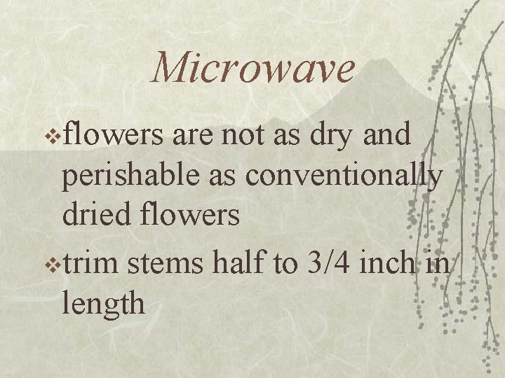 Microwave vflowers are not as dry and perishable as conventionally dried flowers vtrim stems
